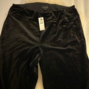 Brand new Talbot velvet stretch pants